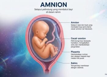Amnion daripada Uri: Sisa Klinikal Menjadi Inovasi Perubatan Regeneratif