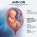 Amnion daripada Uri: Sisa Klinikal Menjadi Inovasi Perubatan Regeneratif