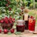 Rosel (Hibiscus sabdariffa L.): Si Merah Menawan dengan Potensi Luar Biasa